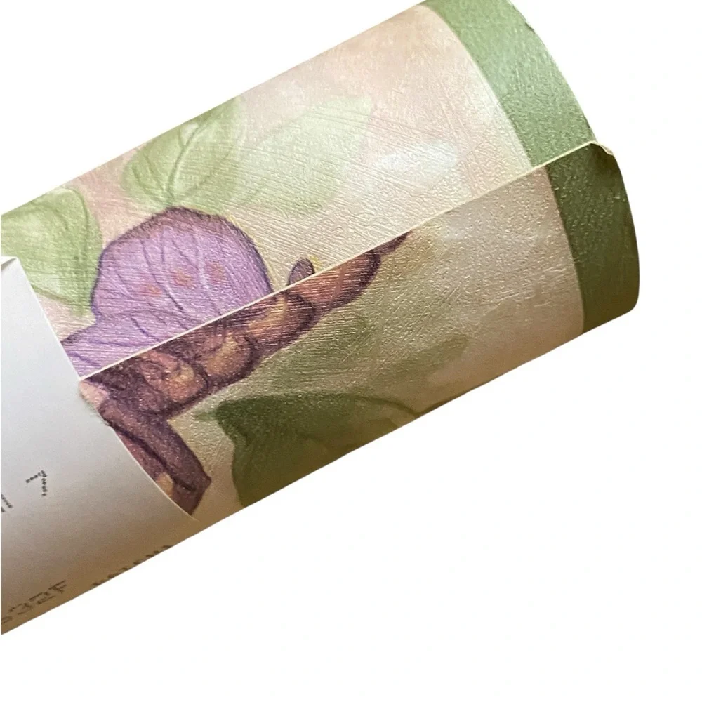 Brewster Wallcovering Co. Vintage Butterfly And Floral Wallpaper Vinyl Border